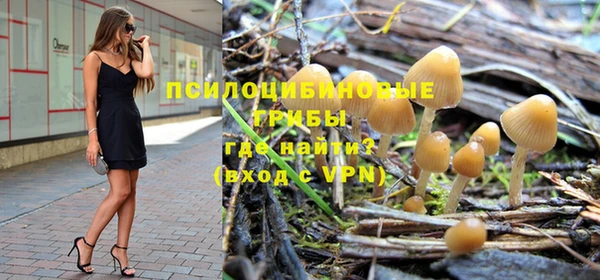 трава Горно-Алтайск