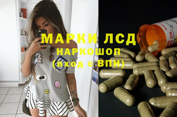 ПСИЛОЦИБИНОВЫЕ ГРИБЫ Горнозаводск