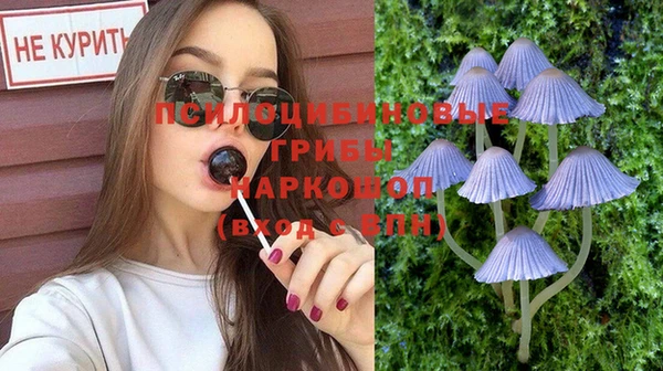 трава Горно-Алтайск