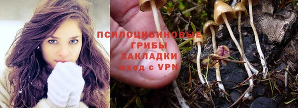 ALPHA PVP Горняк
