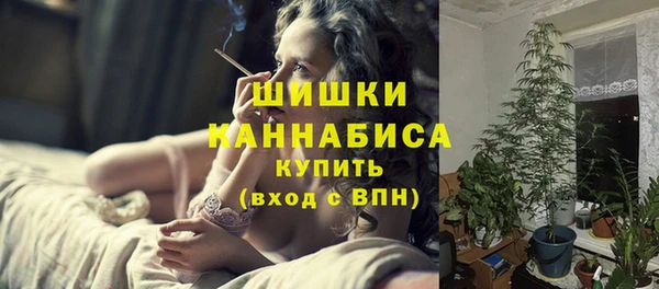 ПСИЛОЦИБИНОВЫЕ ГРИБЫ Горнозаводск